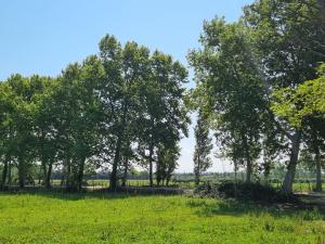 Villas Domaine de la Tapie de Bouchet - en Camargue : photos des chambres