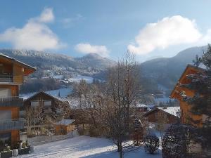 Appartements Charmant T2 + cabine avec balcon oriente sud a Saint-Jean-de-Sixt, proche de La Clusaz - FR-1-459-209 : photos des chambres
