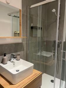 Apartments Domic