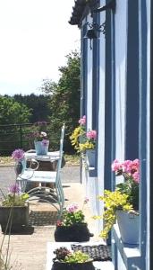 New Listing - Ladybird Cottage - Donegal - Wild Atlantic Way