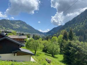 Chalet confortable 5 chambres à Châtel avec WIFI - FR-1-693-1