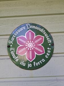 Cosy guesthouse with sauna and outdoor kitchen