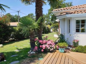 Villas Villa Piscine Jacuzzi Bassin Arcachon 6 pers : Villa avec Piscine Privée