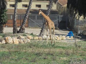 Campings Mobilhome Cote mer : photos des chambres