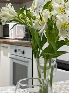 Comfortable 3-roomed apartment Ozod Apartments - Shahrisabz