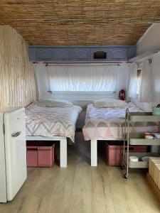Camping Rogowo
