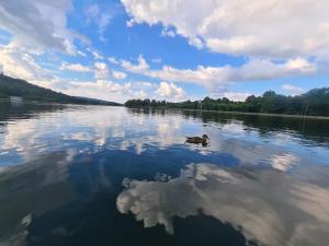 4 Żywioły - całoroczne domki kopułowe w Sudetach