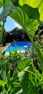 APARTMAN MURKO P-4 - Vrbljene