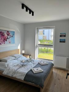 Beauforta Apartment