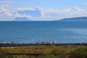 Marina Bay by Asola Property