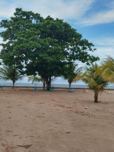 Casa sol e mar pe na areia