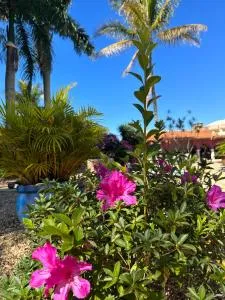 Villa Aratoca - 林斯