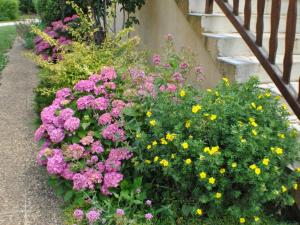 Maisons de vacances Maison au calme avec jardin, proche de Sarlat - Ideale pour familles et activites en plein air. - FR-1-616-295 : photos des chambres
