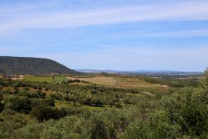 Nuraximannu Boutique B&B img92