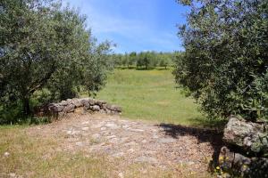 Nuraximannu Boutique B&B img96