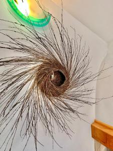 Jennas-Libeccio Apartment img49