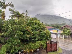 Phamarn View Guesthouse