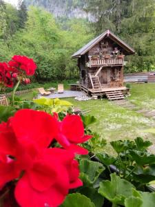 Chalets Amour & Chocolat : photos des chambres