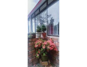 Basudhalaya Home Stay, Darjeeling