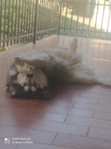 Habitación privada en casa particular, montaña