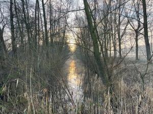 Houseboot Kingfisher, lake view