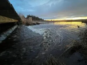 Ytterturingen 469 - Bräcke