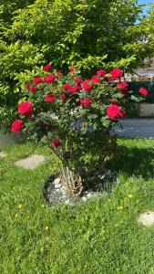 F2 Duplex chez laventurière près Disneyland