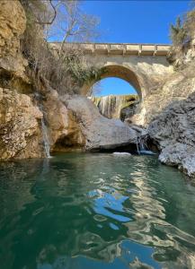 Maisons de vacances Sous les etoiles en Provence, gite les Grands chenes : photos des chambres