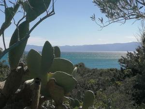 Splendida villa in riva al mare img51