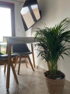 Kapodistriou Apartments