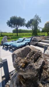 LA VILLA DE SENY , villa de charme avec jardin ,Piscine nature, jacuzzi , petanque, fitness, billard,ping pong,
