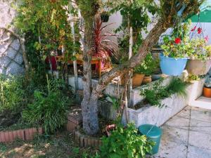 Maisons de vacances Entre mer et foret, idealement situee : photos des chambres