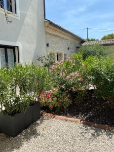 Maisons de vacances Gite Le mas des Gypieres a l'Isle-sur-la-sorgue : photos des chambres