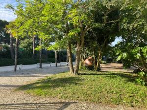 Appartements Maisonnette proche de la mer, calme avec parking : photos des chambres