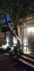 Apartamentai Sinagogos 9