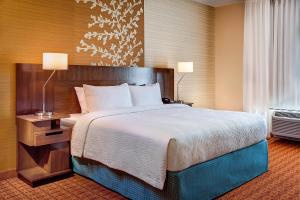 Guest Room, 1 King room in Fairfield Inn & Suites Lincoln Crete