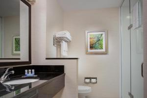 Suite, 1 King, Sofa bed room in Fairfield Inn & Suites Lincoln Crete