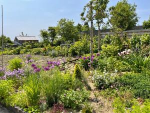 Gîte Les Pimprenelles Beauraing