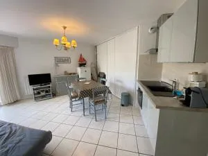 OCEANIA - Terrasse couverte, Plage 500m - DT10 - Légenès