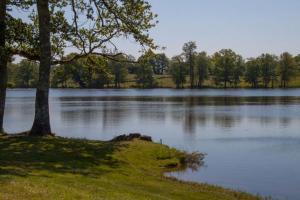 Maisons de vacances Gite du Grand Chene : photos des chambres