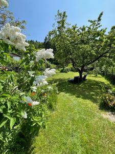 Bergchalet Löwenzahn
