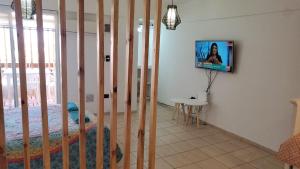 PEATONAL Y SAN MARTIN MONOAMBIENTE