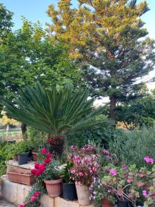 La dimora nonna Eugy