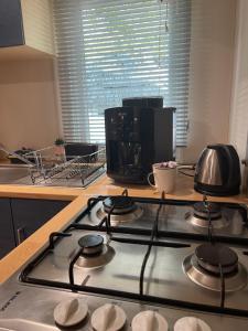 Appartements Location MH situee a 15 mn d europa park et rulantika : photos des chambres