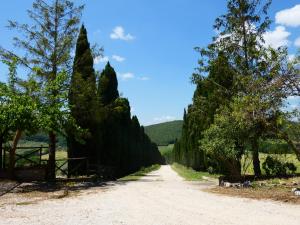 Scappo in Umbria, Casale Beatrice