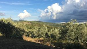 Sport Bikes and Nature