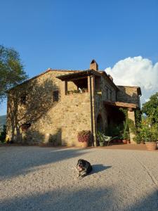 Sport Bikes and Nature