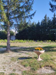 Les petits volets bleus