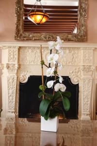 Hotel Carmel Santa Monica