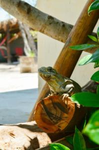 Skycamp Camping Holbox